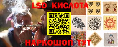 бошки Краснознаменск