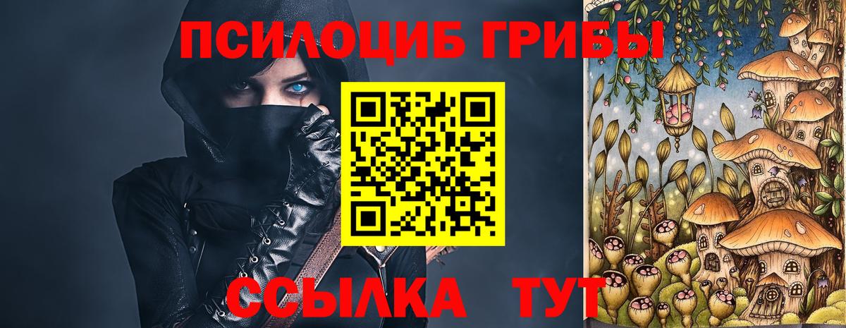 Галлюциногенные грибы Cubensis Калач-на-Дону