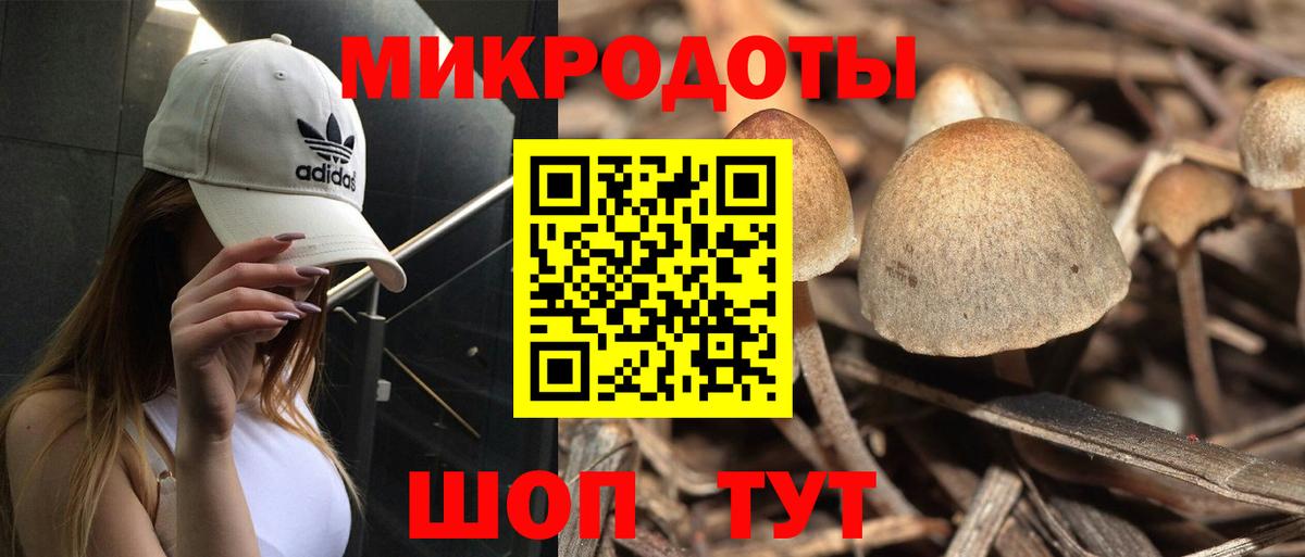 Псилоцибиновые грибы GOLDEN TEACHER  Вход с VPN  наркошоп  Калач-на-Дону 