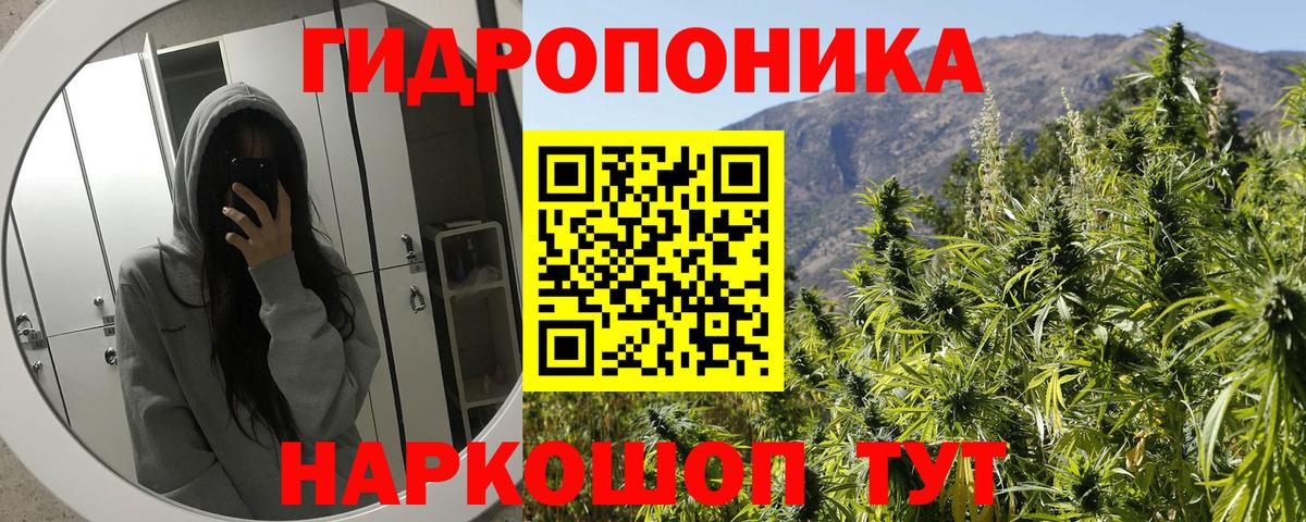 Канабис AK-47 Калач-на-Дону